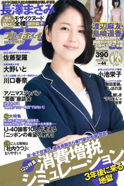 《杨门女将之穆桂英挂帅》